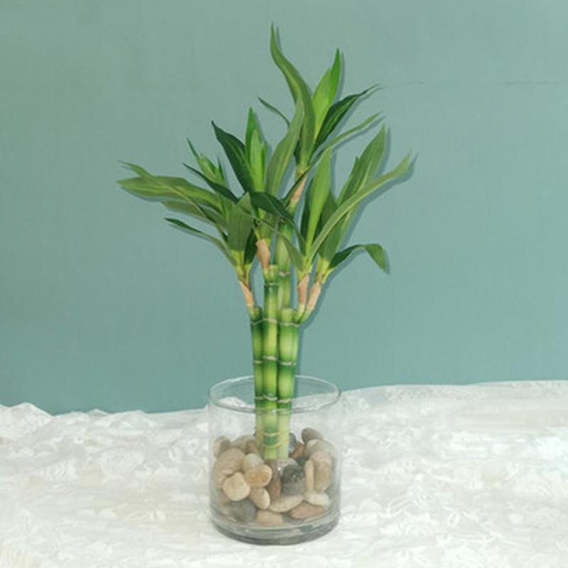 Desk Setup Plants - Neue 40cm Künstliche Glücksbambus-Sukkulentenpflanze, Grüne Topfpflanze