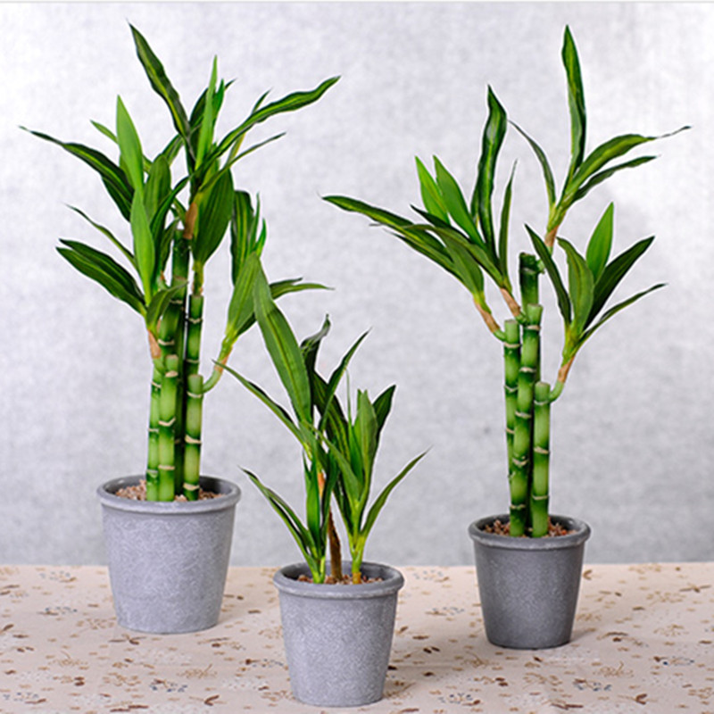 Neue 40cm Künstliche Glücksbam – Desk Setup Plants Bewertung und Preis