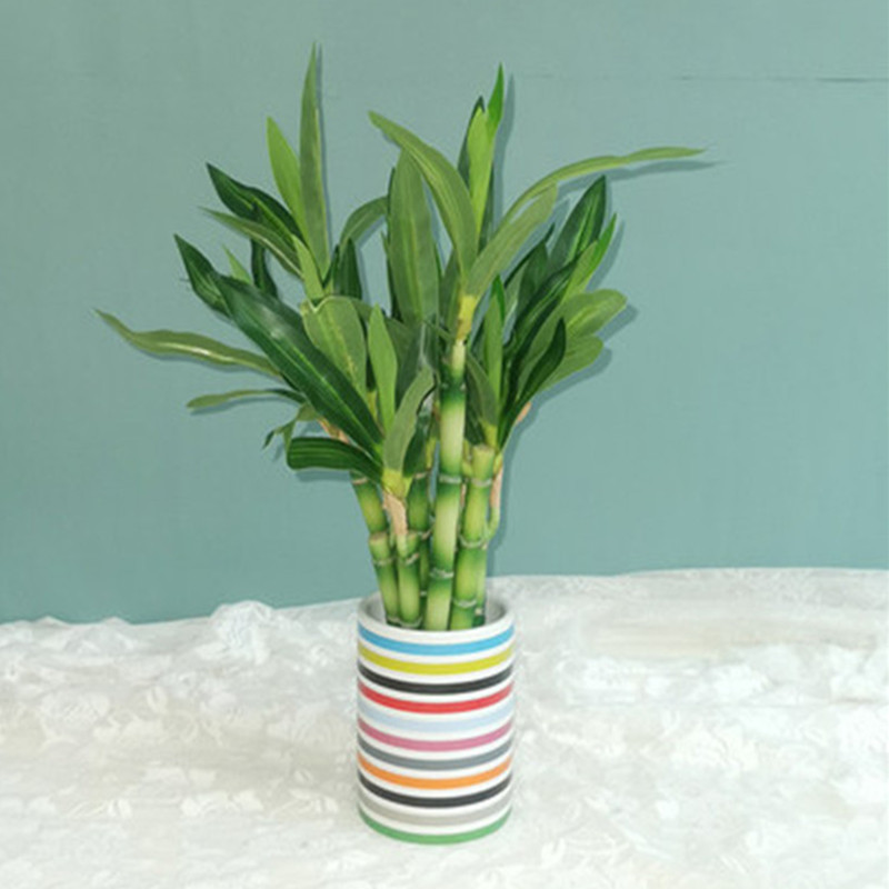 Neue 40cm Künstliche Glücksbam – Desk Setup Plants Bewertung und Preis